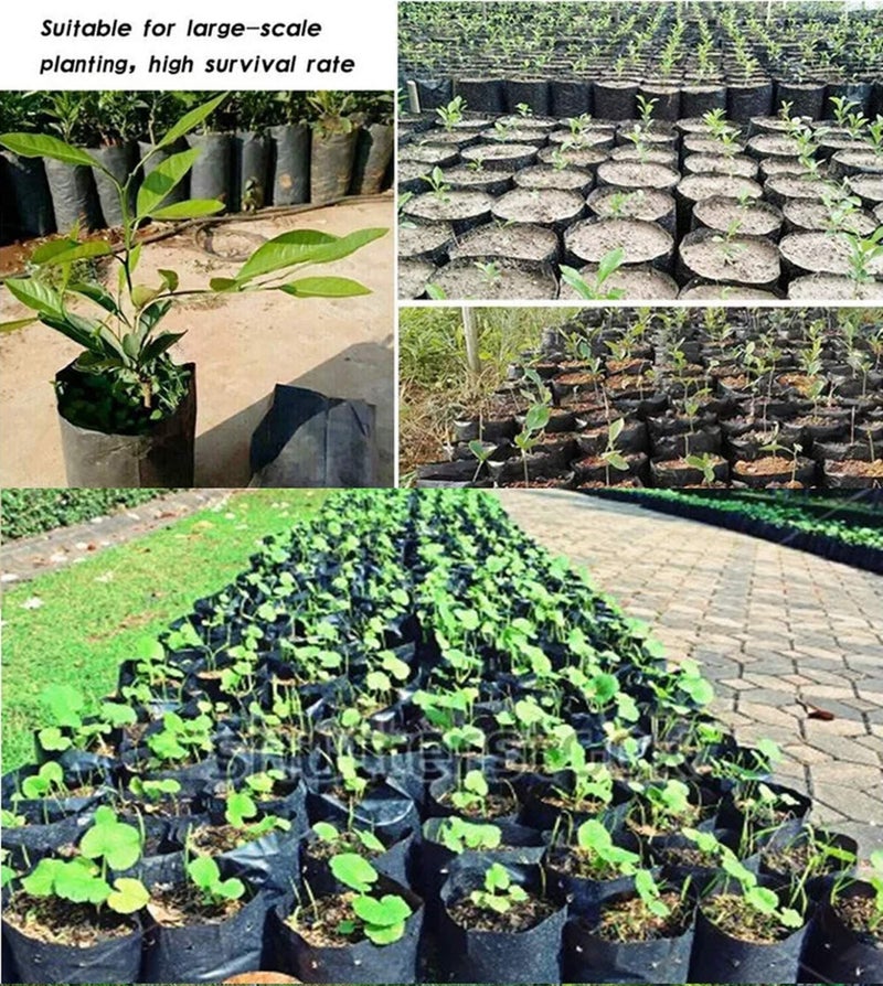 FULAIERGD 100 Pcs Thicken PE Seedling Bag Fruit Tree Seedling Cup Bonsai Planting Bag with 30 Pcs Plant Labels and 2 Pcs Mini Hand Portable Watering Sprinkler (4.52 Dia x 8.07 Height Inches) - Image 3